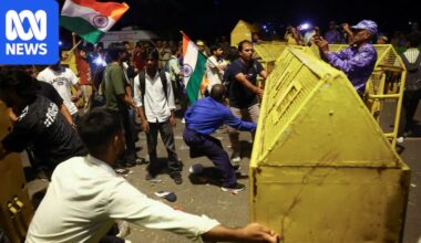 Supporters of India's youth-led 'cockroach' movement caned by police in attempt to march on parliament