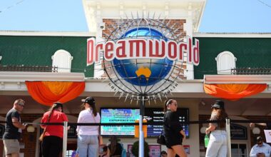 Dreamworld development: Fears for koala habitat as Bleijie approves masterplan