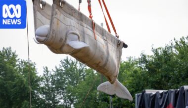 Beluga whales flown from closed Canadian marine park to new homes in the US