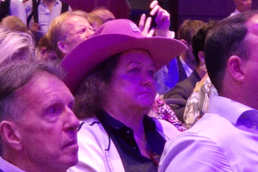 A woman wearing a cowboy hat looks on.
