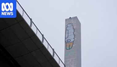 Work begins to paint over Pam the Bird image on Melbourne's Bolte Bridge