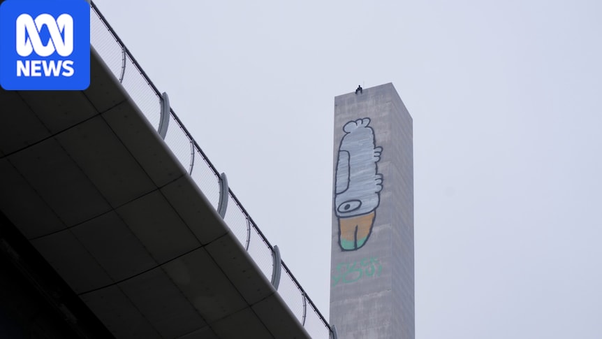 Work begins to paint over Pam the Bird image on Melbourne's Bolte Bridge