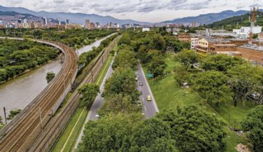 Colombia planted 880,000 trees across the streets of one city to tackle rising temperatures, and the plantation delivered localised cooling of up to 5°C in shaded areas |