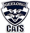 Cats Team Logo