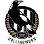 Magpies Team Logo