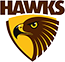 Hawks Team Logo