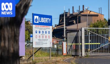 Liberty Bell Bay administrators say the company may have been insolvent for more than a year