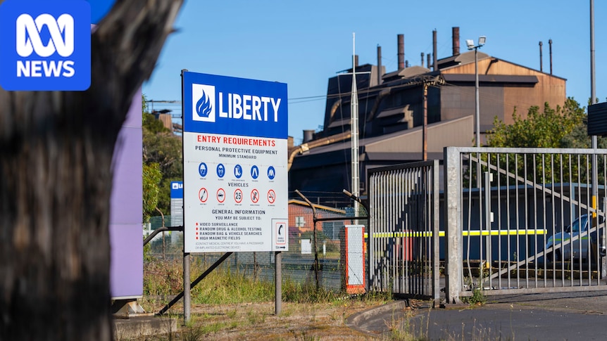 Liberty Bell Bay administrators say the company may have been insolvent for more than a year
