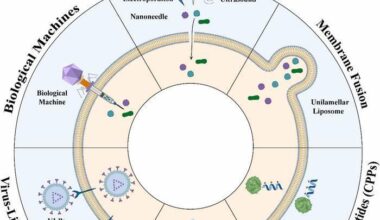 Non-endocytic delivery strategies bypass endosomal escape barriers for gene therapy and mRNA medicines