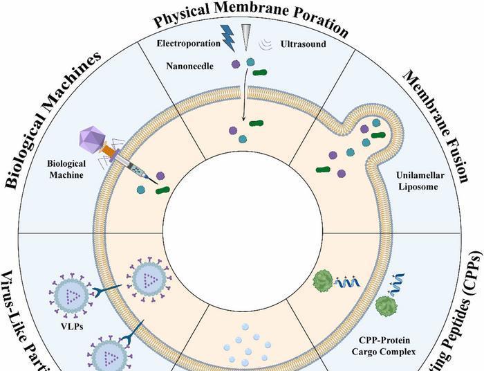 Non-endocytic delivery strategies bypass endosomal escape barriers for gene therapy and mRNA medicines