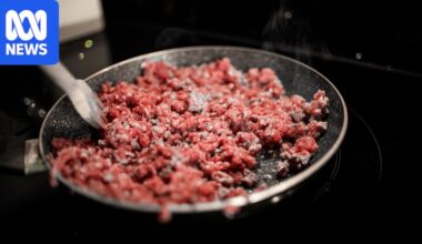 Secret files show horse meat, mouse fur detected in Australian food safety breaches