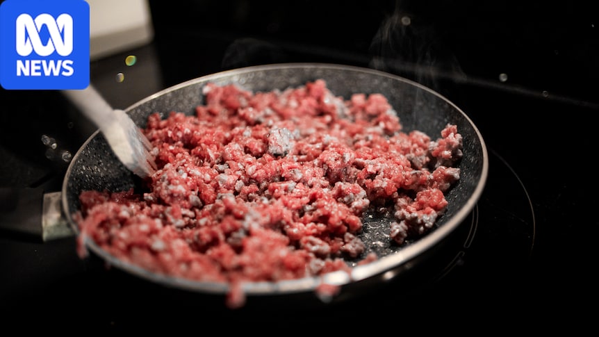 Secret files show horse meat, mouse fur detected in Australian food safety breaches