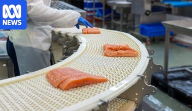 Norway became a global salmon behemoth. Now it's facing the consequences