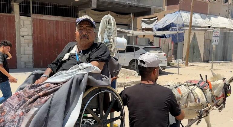 Gaza: Dialysis patients face gruelling hospital journey by donkey cart