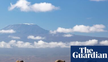 Kenya investigating unexpected deaths of 15 elephants in national park | Kenya