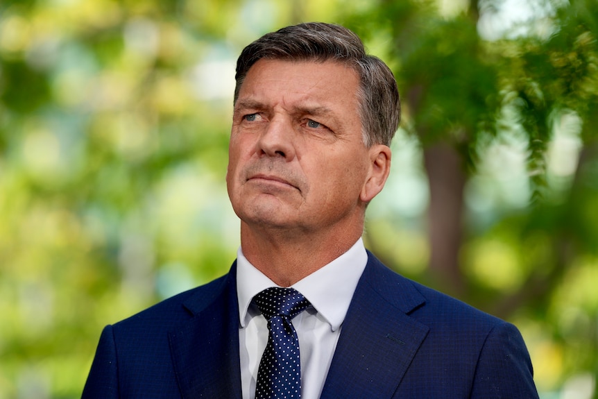A man in a navy suit, with green leaves blurred in background.