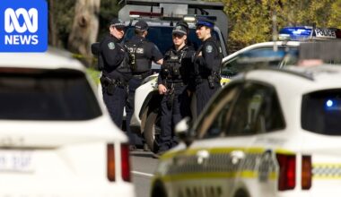 Man charged with attempted murder after allegedly stabbing officer at Elizabeth East, police say