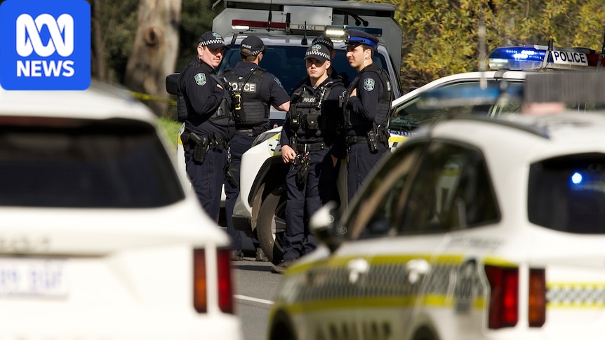 Man charged with attempted murder after allegedly stabbing officer at Elizabeth East, police say