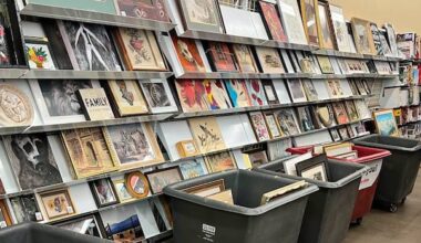 Why did a trove of artwork from a Canadian museum turn up at a thrift shop in Penticton, B.C.?
