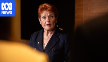 No 'good' Muslims comments by Pauline Hanson do not meet hate speech threshold