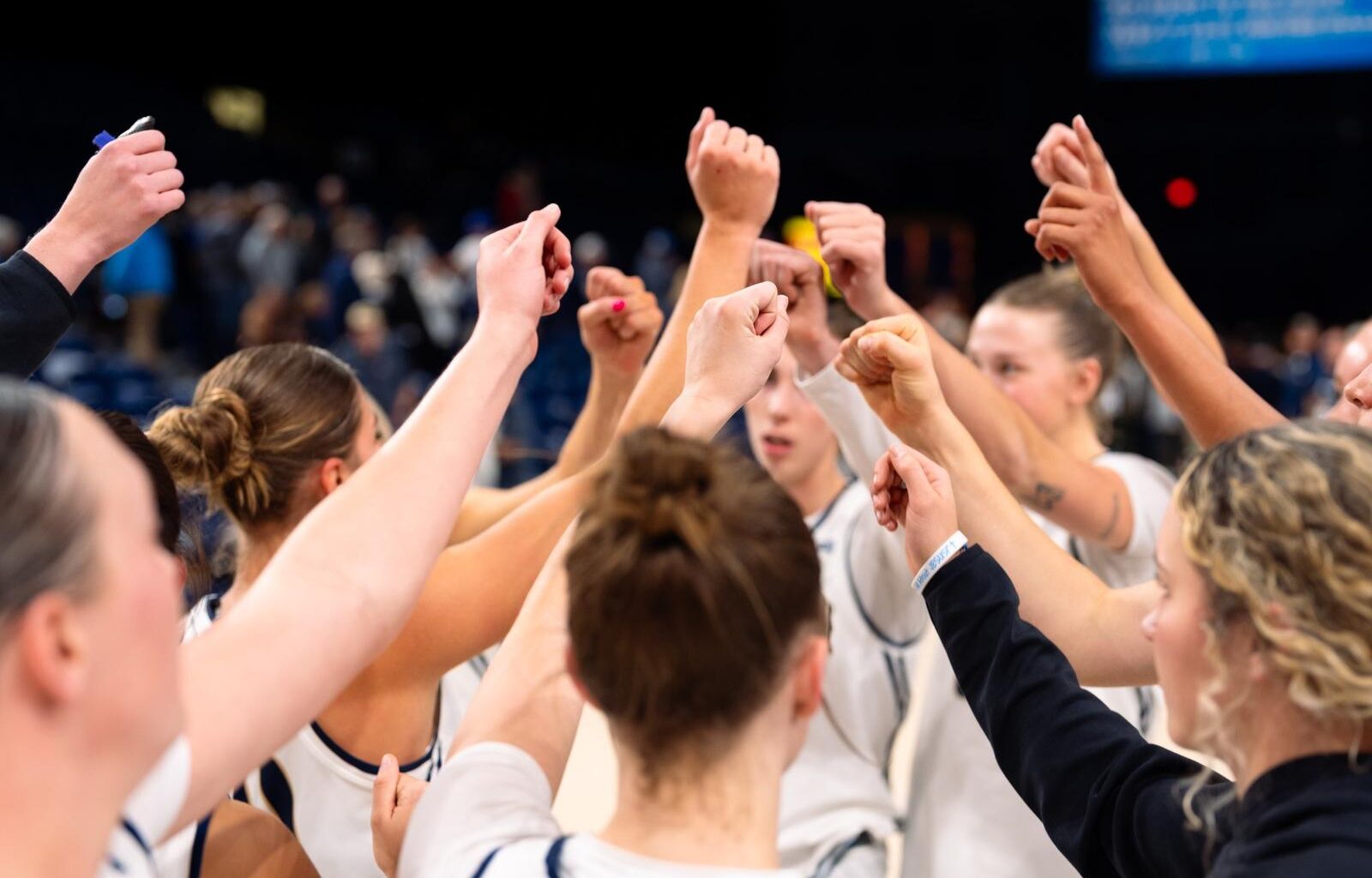 Bobcat Women’s Basketball Named Big Sky Team Academic Champions