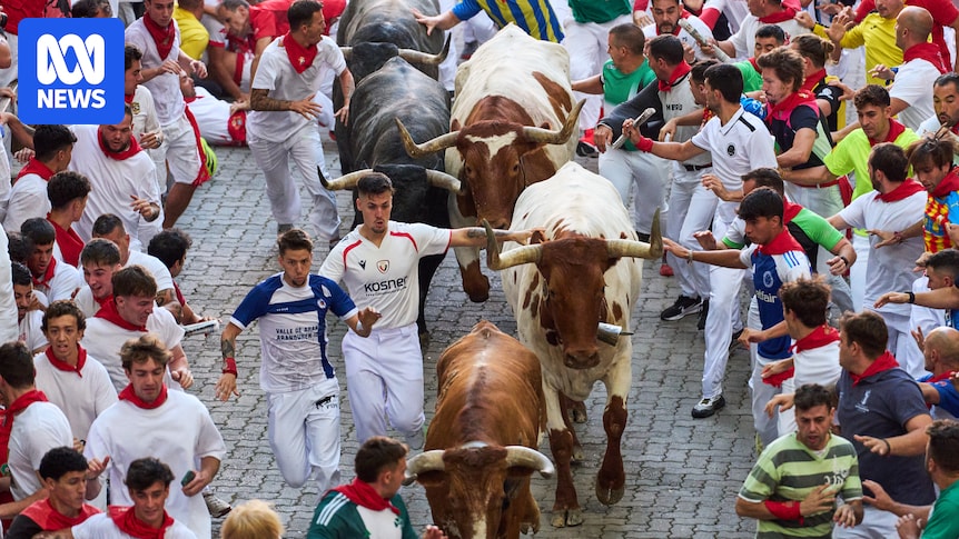 Runner gored in the face at Spain's San Fermin bull run festival