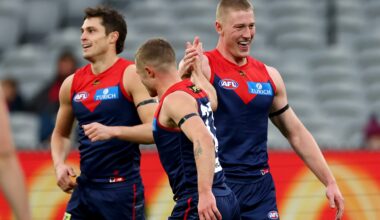 Spearhead kicks big bag as Dees keep good times rolling against Tigers