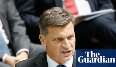 Angus Taylor warns of ‘eternity of pain’ if One Nation wins government in strongest attack yet on Pauline Hanson | Angus Taylor