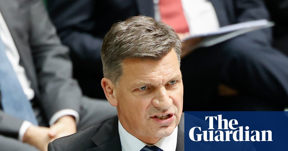 Angus Taylor warns of ‘eternity of pain’ if One Nation wins government in strongest attack yet on Pauline Hanson | Angus Taylor