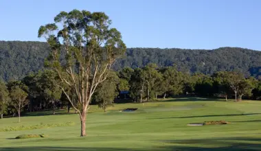 Backyard golf: Strong as Oak – Australian Golf Digest