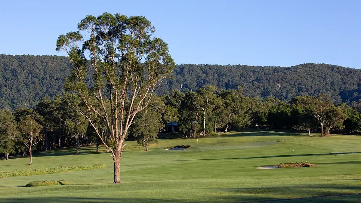 Backyard golf: Strong as Oak – Australian Golf Digest