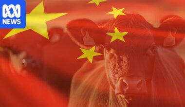 China sitting on huge stockpiles of frozen beef as new tariffs bring imports to a halt