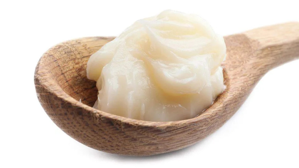 A wooden spoon holding a dollop of white, creamy substance, likely lard or shortening, against a plain white background.