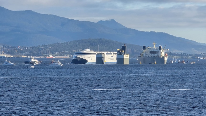 Large ferry being manoeuvred onto a larger transport ship in a river.