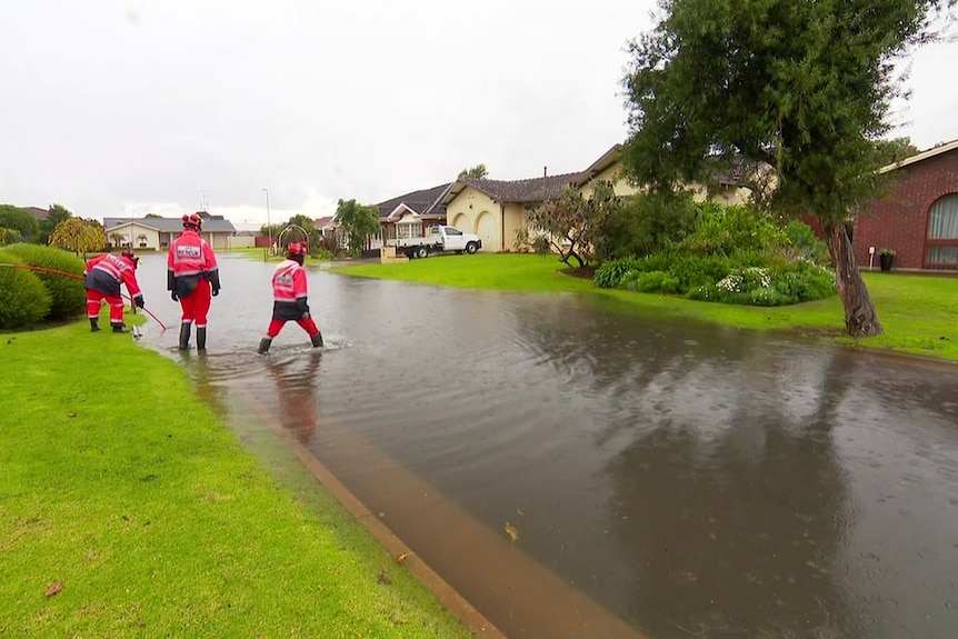 three SES volunteers in uniform stand in ankle-deep water on a suburban street