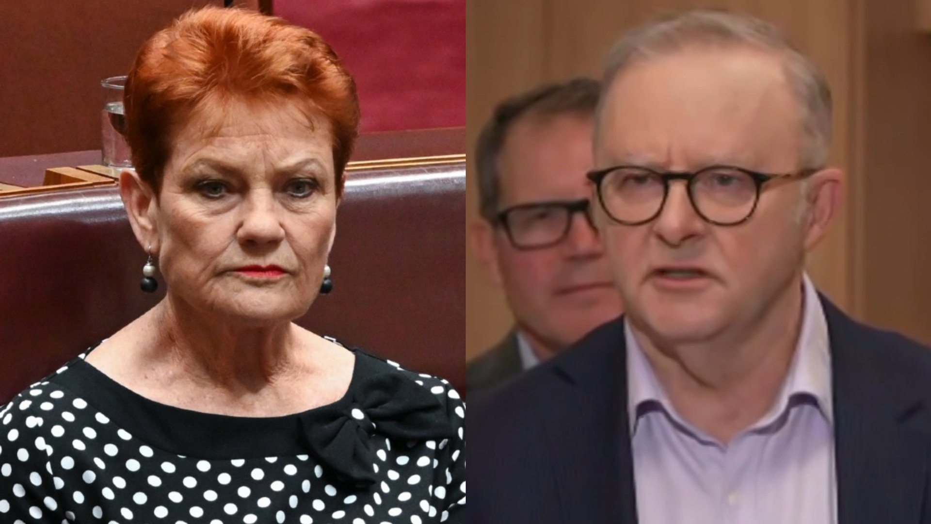 Albanese takes aim at Hanson for ‘denigrating’ Australia