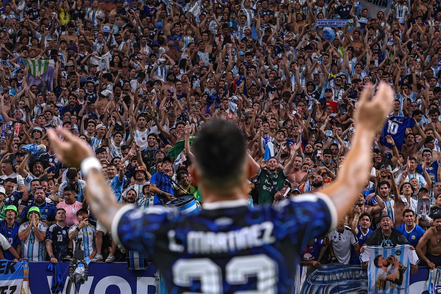 Argentina fans cheer after a win.