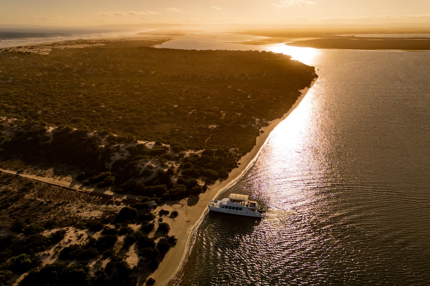 A bird eye view image of a boat by the water at the Coorong at sunset.
