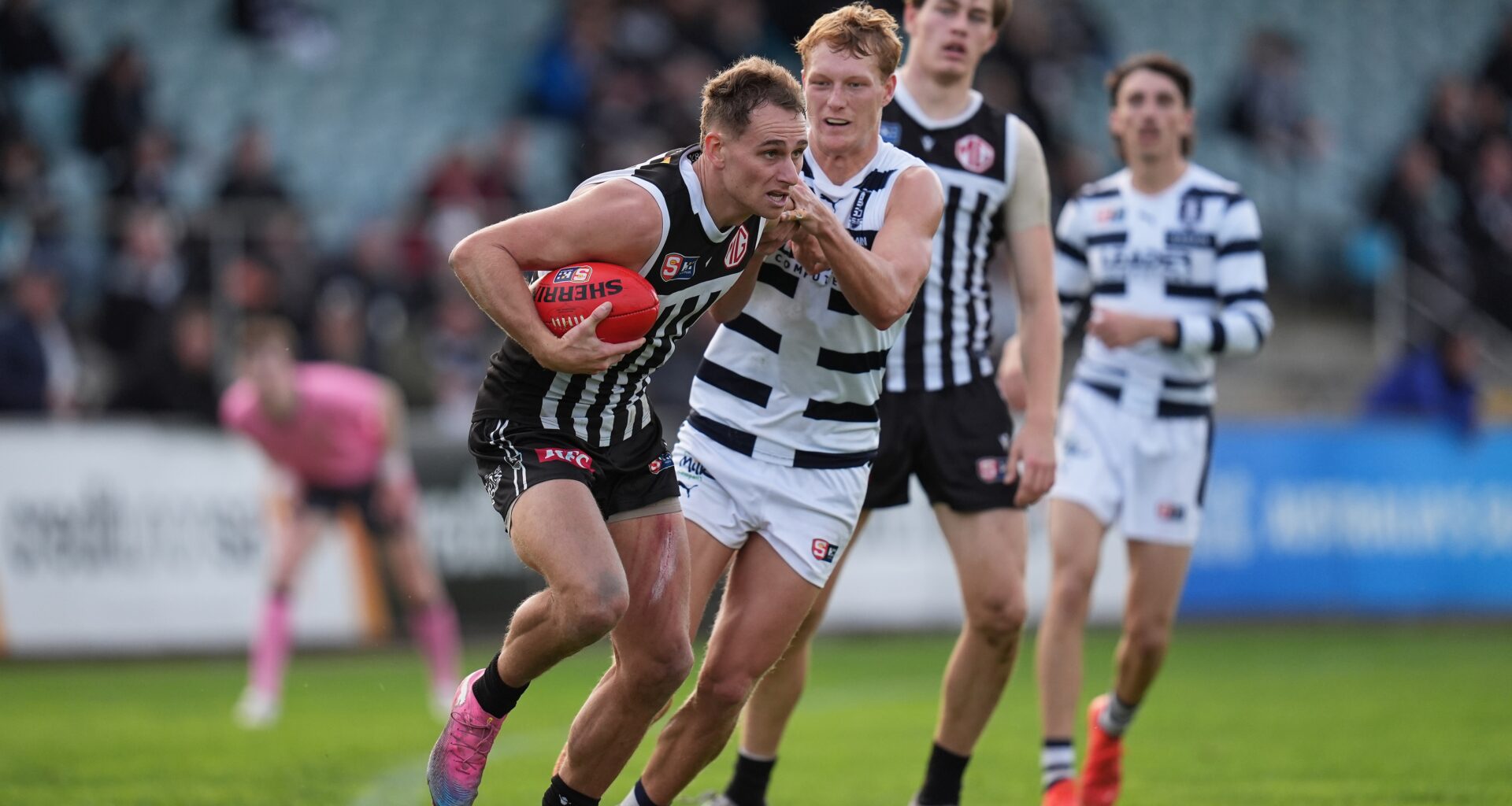 Match report: Panthers pounce on Magpies at Alberton