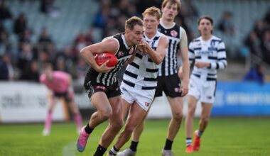 Match report: Panthers pounce on Magpies at Alberton