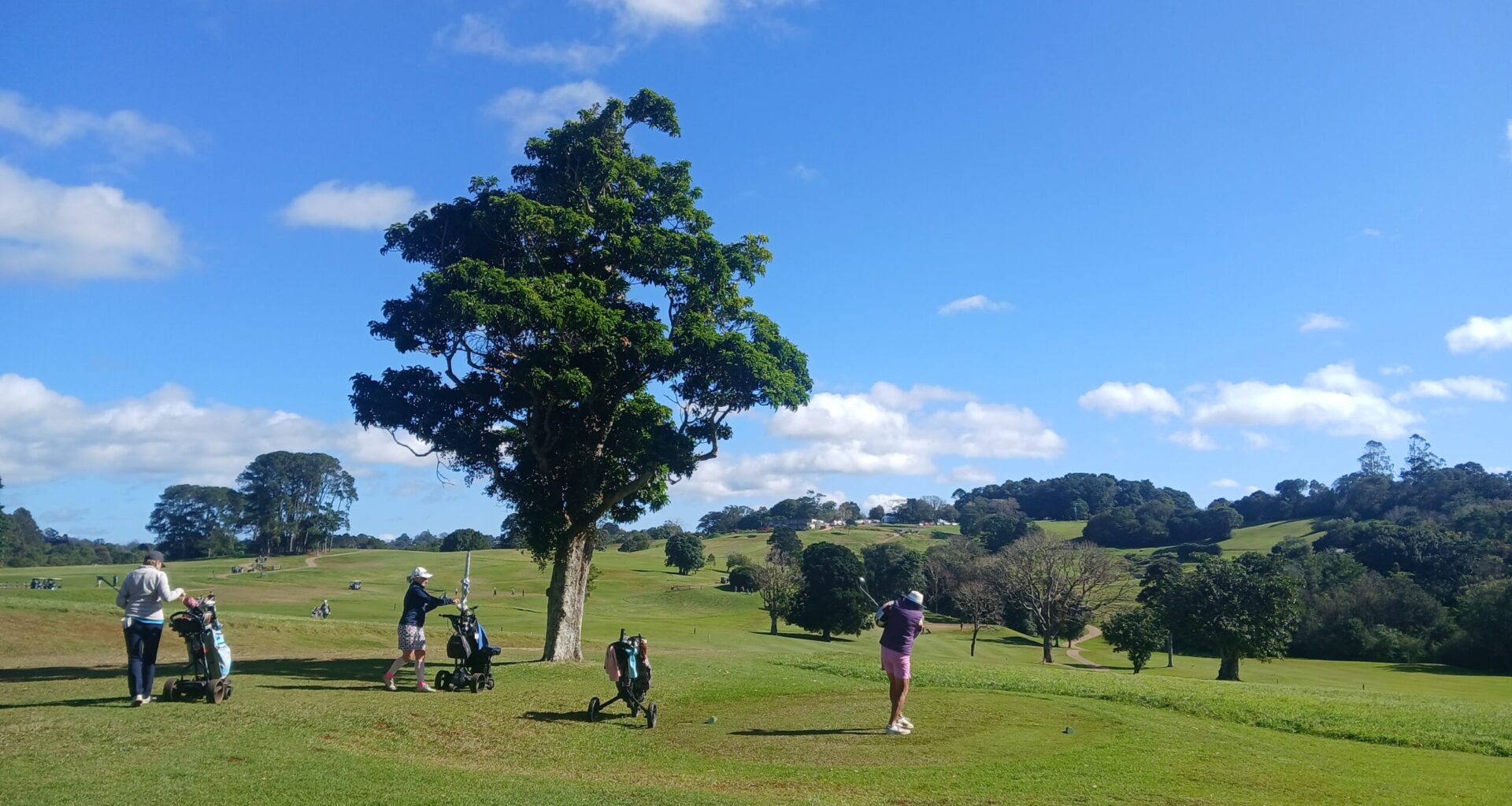 Maleny Ladies Golf celebrates - Glasshouse Country & Maleny News