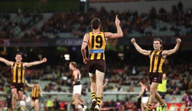 Gunston kicks seven as Hawks make short work of Bombers