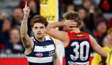 Geelong Cats break Melbourne Demons' MCG domination to keep top six in sight