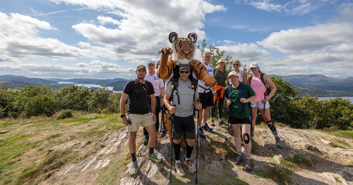 9ft tiger set to walk across Norfolk for tiger charity