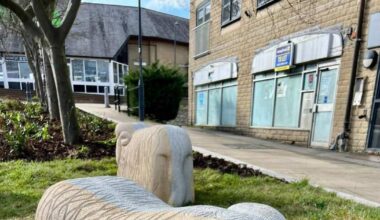 Schoolchildren give names to sheep sculptures in Shipley