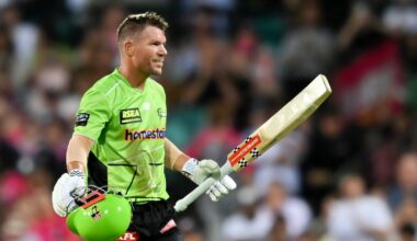 David Warner: Australian cricket star pleads guilty to drink-driving
