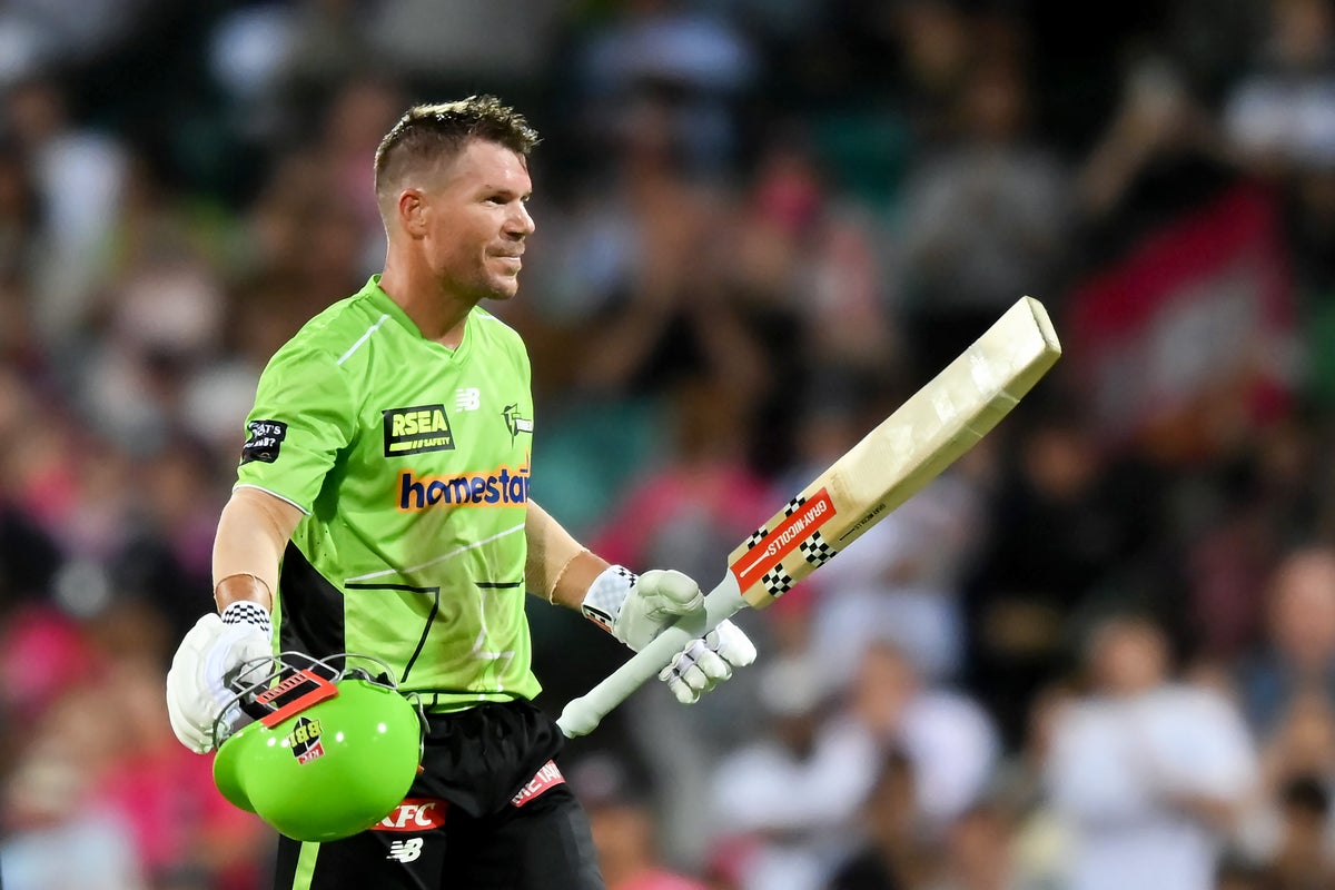 David Warner: Australian cricket star pleads guilty to drink-driving
