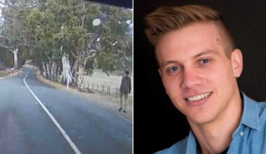 Remains of Adelaide missing man Michael Curnow discovered after tip-off to police
