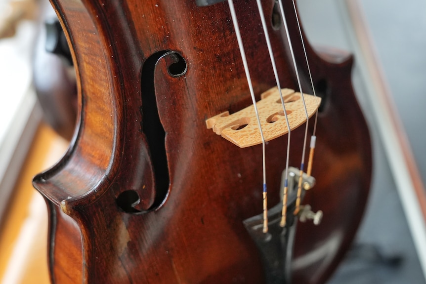 A close-up view of the body of an old-looking violin.