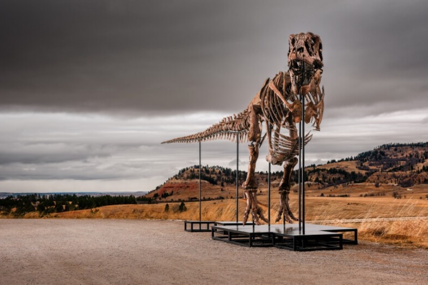 A tyrannosaurus rex skeleton mounted and displayed in the middle of an arid hilly landscape.